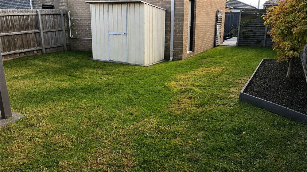 Neatly mowed lawn with mulched garden bed and raised border after clean-up