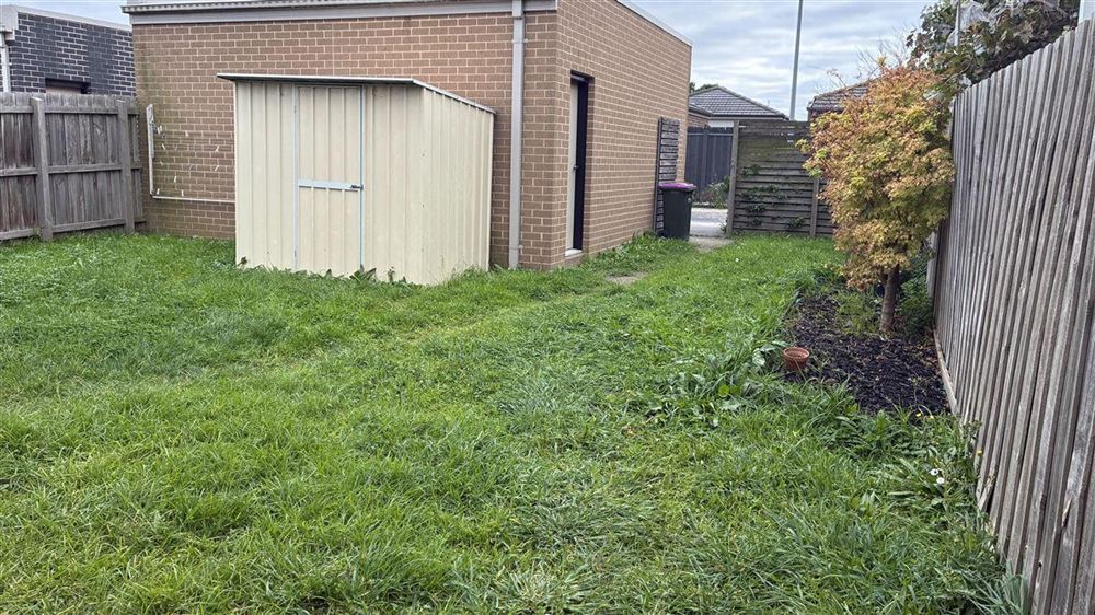 Overgrown lawn with weeds and untidy garden bed before clean-up